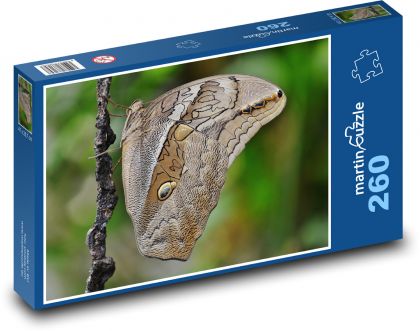Motýl - hmyz - puzzle 260 dílků