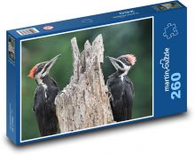 Datel - pták Puzzle 260 - 41x28,7 cm