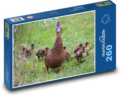 Kačica s kurčatami - Puzzle 260 dielikov, rozmer 41x28,7 cm