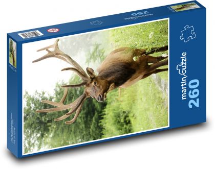 Hirsche - Wildtiere - Puzzle - 260 Teile