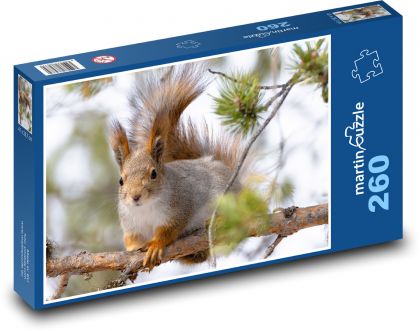 Veverka - hlodavec - puzzle 260 dílků