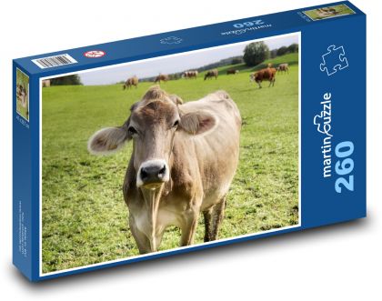 Kuh - Rinder - Puzzle - 260 Teile