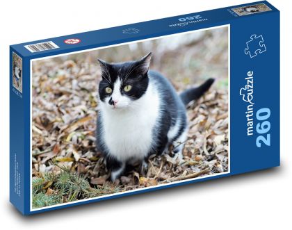 Podzim - kočka - puzzle 260 dílků