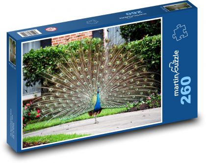 Vogel - Pfau - Puzzle - 260 Teile