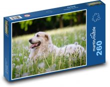 Louka - pes Puzzle 260 dílků - 41 x 28,7 cm