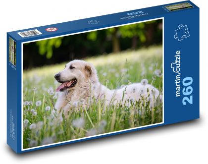 Lúka - pes - Puzzle 260 dielikov, rozmer 41x28,7 cm