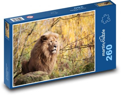 Lion - beast - Puzzle 260 pieces, size 41x28.7 cm 