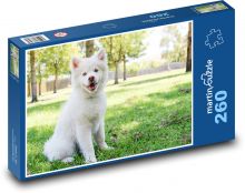 Welpe - Hund Puzzle 260 Teile - 41 x28,7 cm