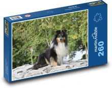 Owczarek szetlandzki Puzzle 260 elementów - 41x28,7 cm