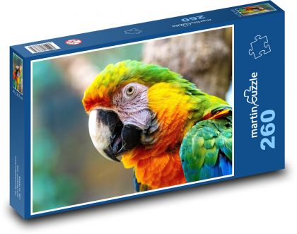 Ptak - papuga - Puzzle 260 elementów, rozmiar 41x28,7 cm