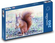 Zvíře - veverka Puzzle 260 - 41x28,7 cm