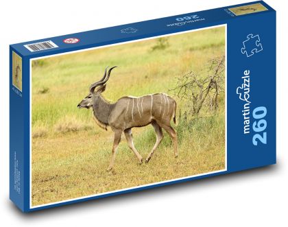 Wildlife - antelope - Puzzle 260 pieces, size 41x28.7 cm 