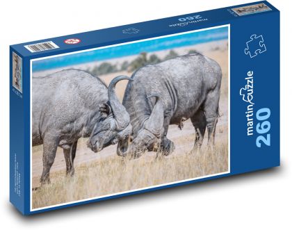 Safari - buvol - Puzzle 260 dílků, rozměr 41x28,7 cm