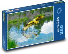 Osprey Puzzle 260 pieces - 41 x 28.7 cm