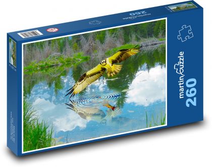 Osprey - Puzzle 260 pieces, size 41x28.7 cm 