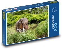 Safari - African elephant Puzzle 260 pieces - 41 x 28.7 cm