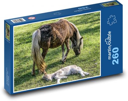 Kobyla - žriebä - Puzzle 260 dielikov, rozmer 41x28,7 cm