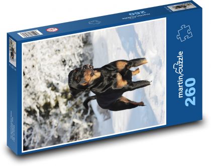 Rotvajler - pes v snehu - Puzzle 260 dielikov, rozmer 41x28,7 cm