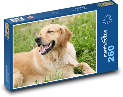 Golden Retriever - Puzzle 260 pieces, size 41x28.7 cm 