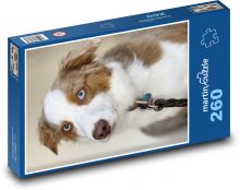 Pies - owczarek australijski Puzzle 260 elementów - 41x28,7 cm