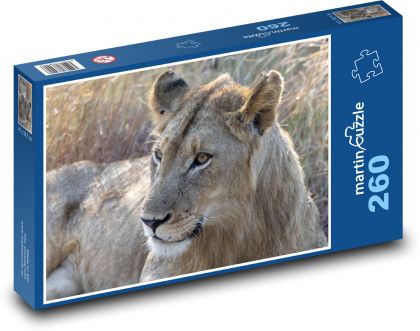 Lwica - dzikie zwierzę - Puzzle 260 elementów, rozmiar 41x28,7 cm