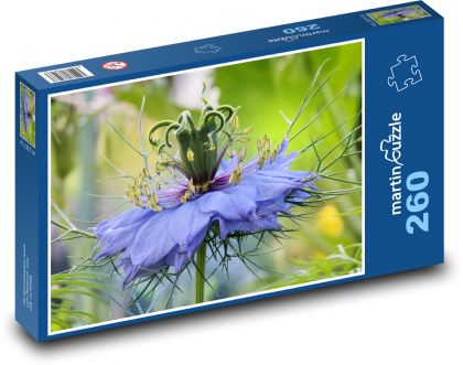 Chrpa květina - puzzle 260 dílků