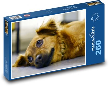 Roztomilý pes - puzzle 260 dílků