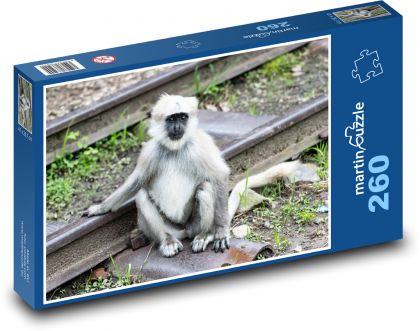 Monkey - macaque - Puzzle 260 pieces, size 41x28.7 cm 