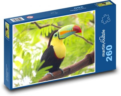 Tukan - Vogel - Puzzle - 260 Teile