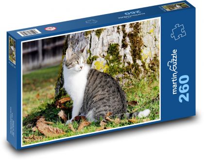 Kot - Puzzle 260 elementów, rozmiar 41x28,7 cm