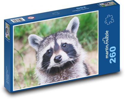 Szop  - Puzzle 260 elementów, rozmiar 41x28,7 cm