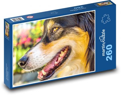 Australian Shepherd - Dog - Puzzle 260 pieces, size 41x28.7 cm 