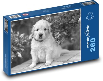 Pes - štěně - puzzle 260 dílků