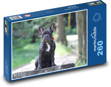 Francouzský buldoček - puzzle 260 dílků