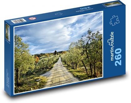Italy - Tuscany - Puzzle 260 pieces, size 41x28.7 cm 