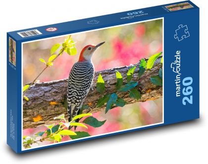 Ďateľ červenobrušný - Puzzle 260 dielikov, rozmer 41x28,7 cm
