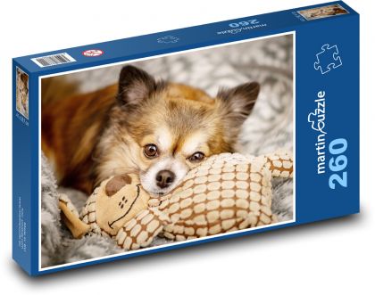 Hund - Chihuahua - Puzzle - 260 Teile