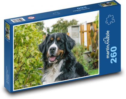 Berner Sennenhund - Puzzle - 260 Teile