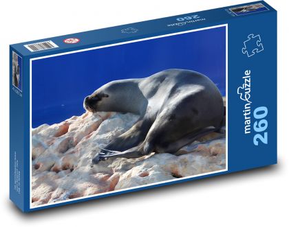 Morské plody - lachtan - Puzzle 260 dielikov, rozmer 41x28,7 cm