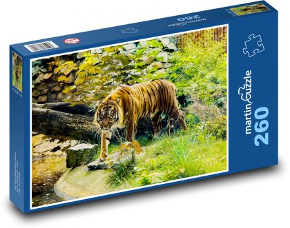 Tygr - šelma - puzzle 260 dílků