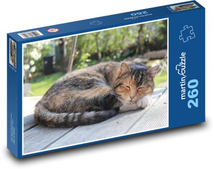 Pet - Cat - Puzzle 260 pieces, size 41x28.7 cm 