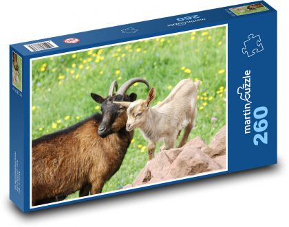 Ziege mit Jungtier - Puzzle - 260 Teile