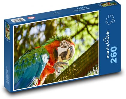 Ptak - papuga - Puzzle 260 elementów, rozmiar 41x28,7 cm