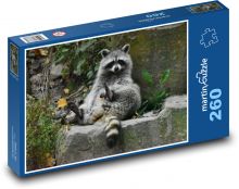 Mýval  Puzzle 260 dílků - 41 x 28,7 cm