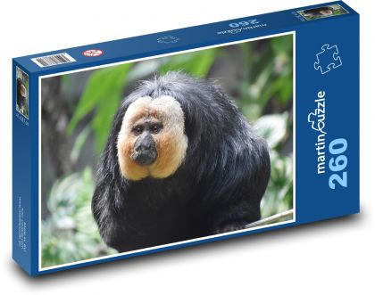 Wybielający ogon - małpa - Puzzle 260 elementów, rozmiar 41x28,7 cm