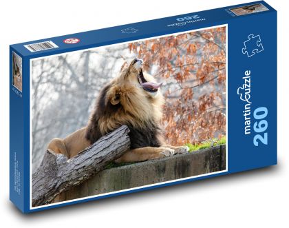 Lion - beast - Puzzle 260 pieces, size 41x28.7 cm 