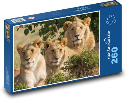 Lev - zviera - Puzzle 260 dielikov, rozmer 41x28,7 cm