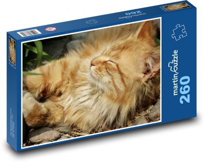Mačka - domáce zviera - Puzzle 260 dielikov, rozmer 41x28,7 cm