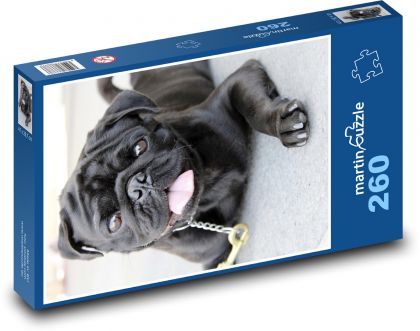 Černý mops - pes - puzzle 260 dílků
