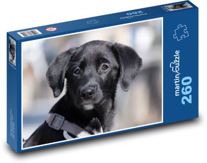 Labrador - dog, puppy - Puzzle 260 pieces, size 41x28.7 cm 